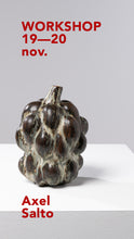 Charger l'image dans la galerie, Workshop Axel Salto